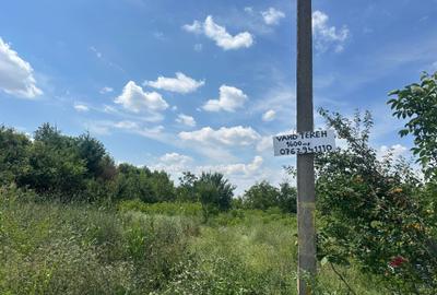 Teren de 1600 mp, în Dascălu