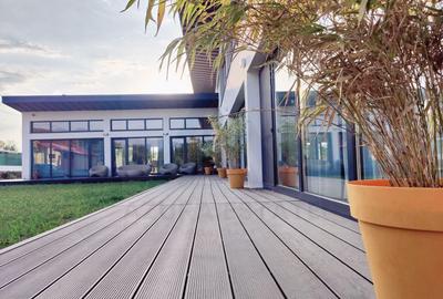 Casă individuală cu 10 camere cu Teren 4600 Mp în Central - 15