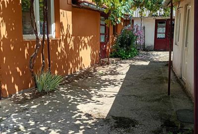 Casă cu 2 camere în Tinca - 2
