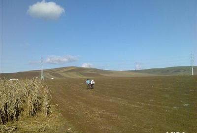 Teren de 3935 mp, în Nazna - 2