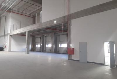 Spațiu industrial, de 2,000 mp, în Theodor Pallady - 3