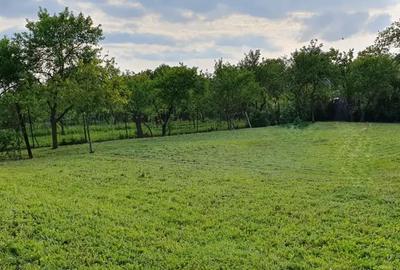 Casă cu 4 camere cu Teren 1600 Mp în Orțișoara - 5