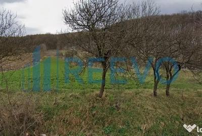 Teren de 4007 mp, în Boșoteni - 4