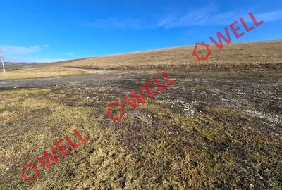 Teren intravilan de 1045 mp, în Barcani - 4