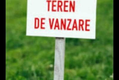 Teren de 4975 mp, în Berca - 3