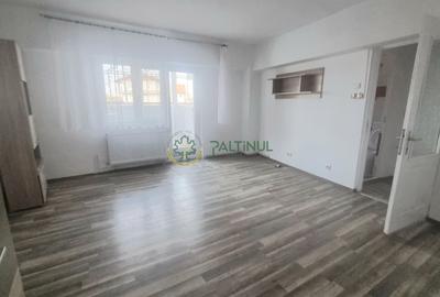 Apartament cu 2 camere decomandat, mobilat în Turnișor - 2