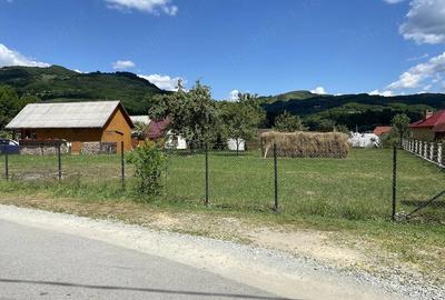 Casă cu Teren 1850 Mp în Vișeu de Jos