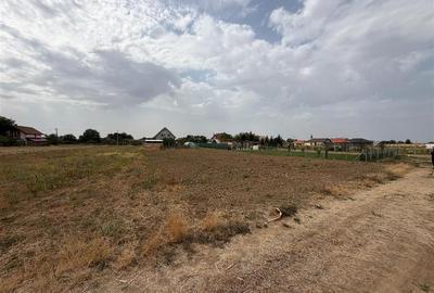 Teren intravilan de 1102 mp, în Cauaceu