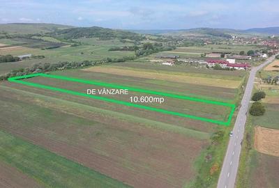Teren de 10600 mp, în Borșa - 2