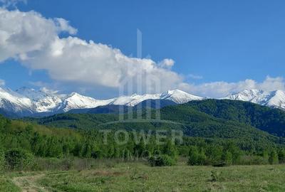 Teren extravilan de 2500 mp, în Porumbacu de Jos - 5