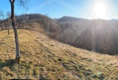 Casă individuală cu 4 camere cu Teren 8000 Mp în Ciucea - 7