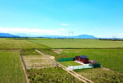 Teren agricol extravilan de 225 mp, în Hărman - 1