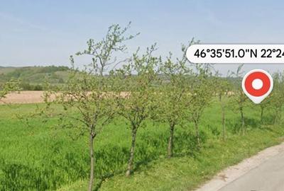 Teren de 4636 mp, în Lazuri - 1