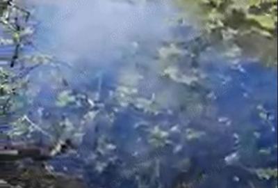 Teren de 682 mp, în Dumbrăvița