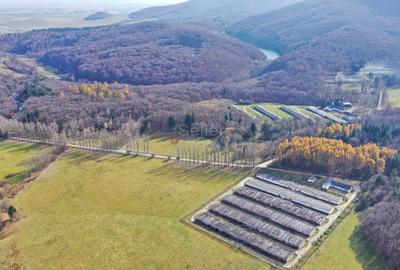 Teren Construcții intravilan de 186000 mp, în Exterior Vest - 16