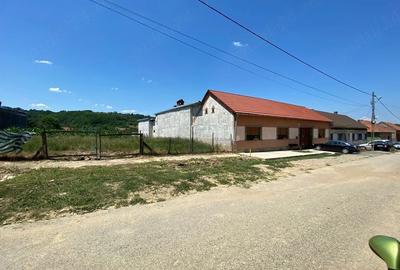 Teren de 3000 mp, în Mâtnicu Mare