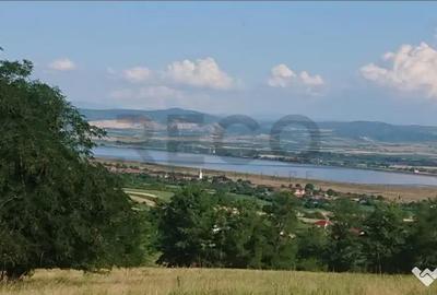 Teren de 8743 mp, în Tileagd - 9