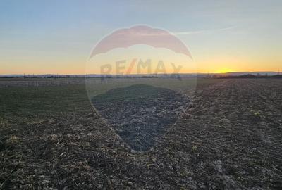 Teren de 3600 mp, în Filipești