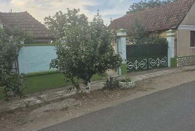 Casă cu 4 camere cu Teren 2440 Mp în Covăsinț