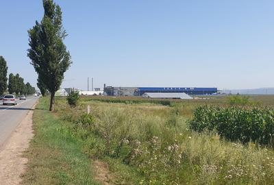 Teren de 9500 mp, în Nicolae Bălcescu - 1