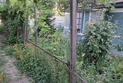 Casă cu Teren 1700 Mp în Plopu