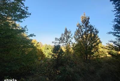Teren de 36748 mp, în Vața de Jos
