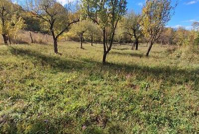 Teren de 6800 mp, în Berislăvești - 6
