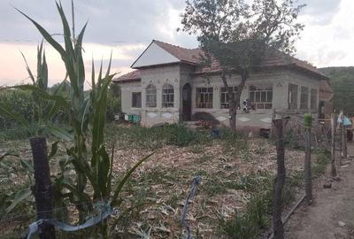 Casă cu Teren 3700 Mp în Verguleasa