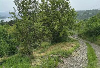 Teren de 930 mp, în Hangu - 2