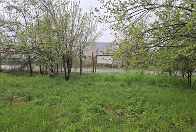 Teren de 3000 mp, în Predeal - 3