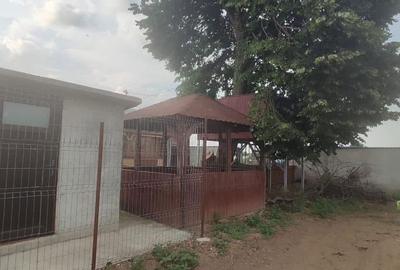 Casă cu 5 camere cu Teren 2500 Mp în Central - 11