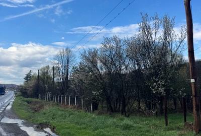 Teren de 6600 mp, în Drăganu - 2