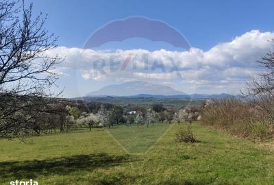 Teren de 1778 mp, în Dumbrăvița - 2