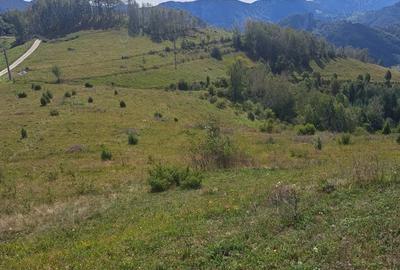 Teren în Râmeț - 5