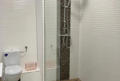 Apartament cu 2 camere semidecomandat, mobilat în Zorilor - 3
