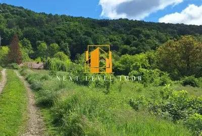 Casă cu 5 camere cu Teren 1304 Mp în Central - 3
