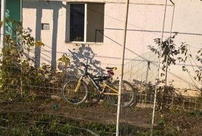 Casă cu 3 camere cu Teren 5002 Mp în Butimanu