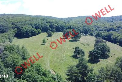 Teren de 46300 mp, în Ghidfalău