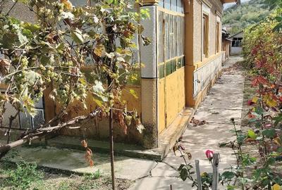 Casă cu Teren 750 Mp în Hotarele