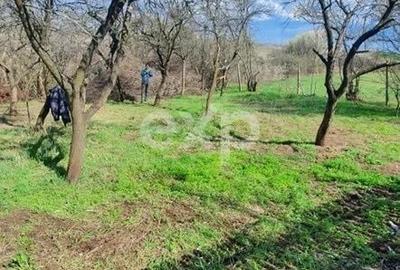 Casă cu 2 camere în Buzoești