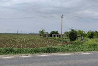 Teren de 7500 mp, în Centură - 2