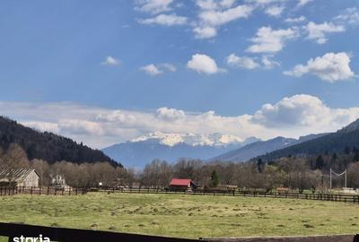 Teren de 2500 mp, în Plaiul Foii - 10