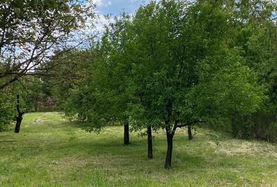 Casă cu 3 camere în Titulescu - 2