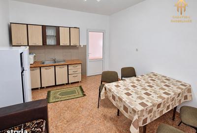 Casă cu 3 camere decomandat cu Teren 2672 Mp în Traian Vuia