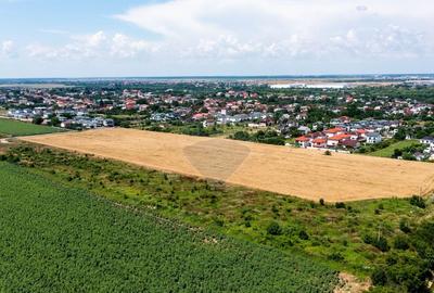 Teren intravilan de 8600 mp, în Dragomirești-Vale - 11