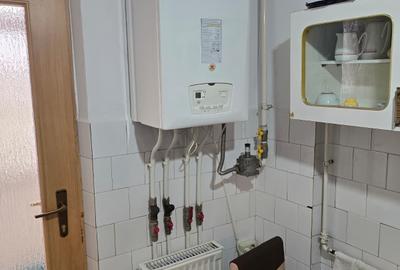Apartament cu 2 camere decomandat, mobilat în Vidin-Progresul - 5