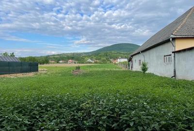 Casă cu Teren 4442 Mp în Viile Apei - 6