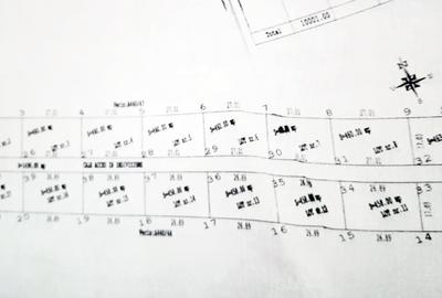 Teren Construcții extravilan de 10000 mp, în Costinești