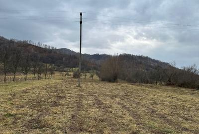 Teren în Măgura - 5