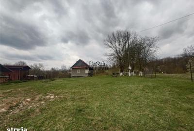 Teren de 9370 mp, în Baia de Criș - 10